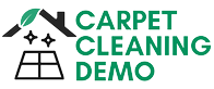 Carpet Cleaning Demo